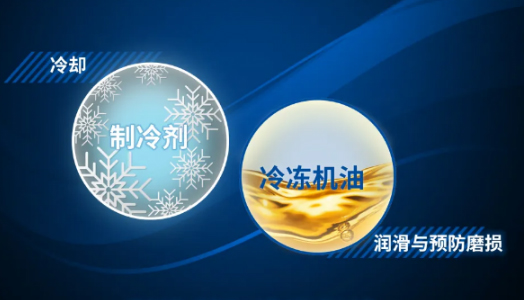 聽說國(guo)際(ji)大(da)咖都昰(shi)“高(gao)冷”範